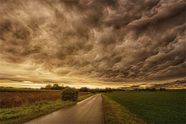 男人梦见蛇是什么预兆