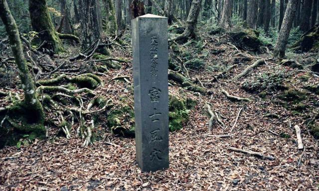 日本自杀圣地——青木原树海